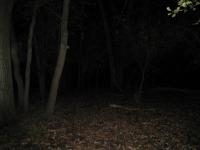 Chicago Ghost Hunters Group investigates Robinson Woods (198).JPG